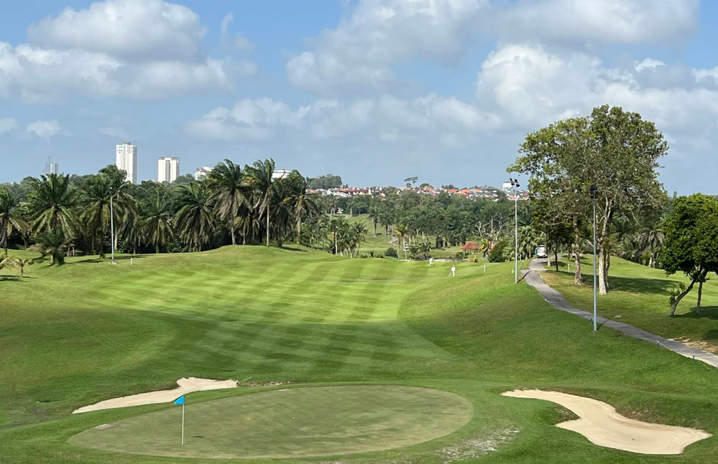 ⛳ [갓성비] 다이만 18 골프 클럽 (Daiman 18)