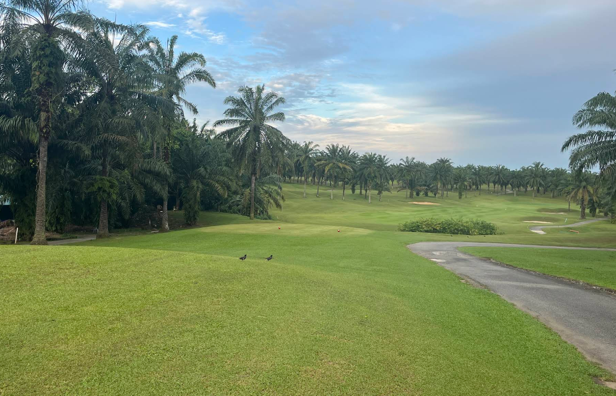 ⛳ [그늘집 PICK]세니봉 골프 클럽 (Senibong Golf Club)